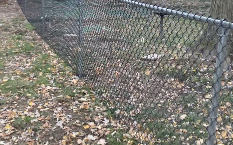 Chain Link Fence Company Akron